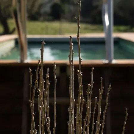 Aromatik House *