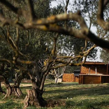 Villa Aromatik House